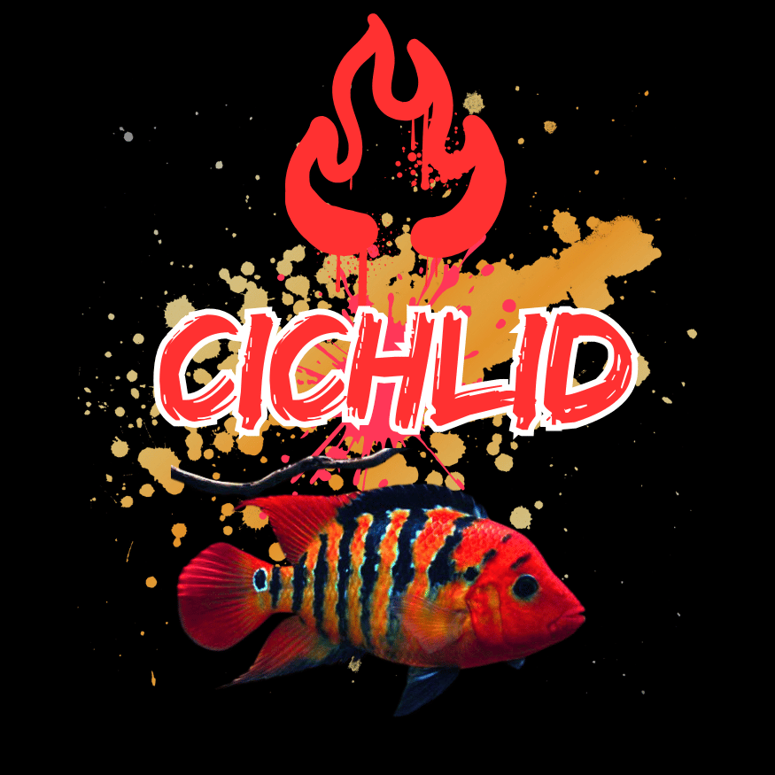 Cichlids