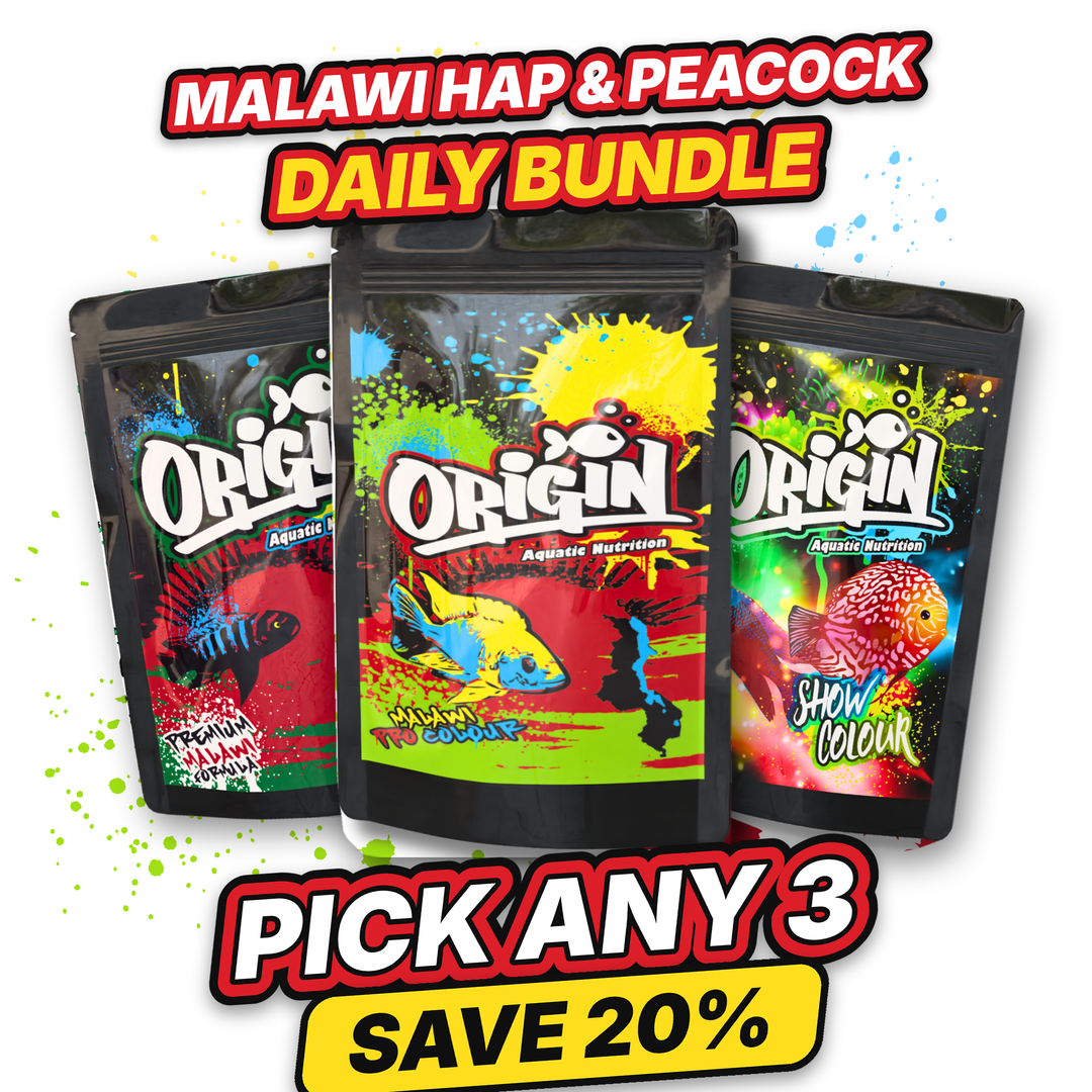Malawi Hap and Peacock Daily Bundle