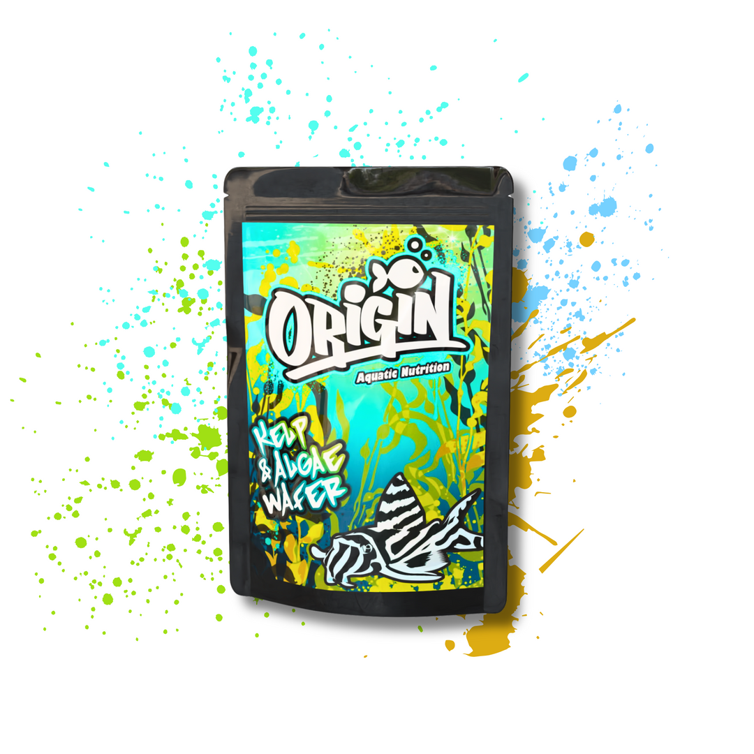 FREE GIFT | Kelp and Algae Wafers